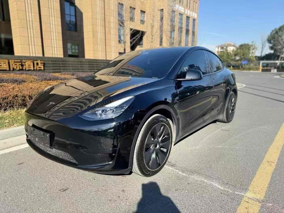 特斯拉 Model Y  2024款 后輪驅(qū)動(dòng)版圖片