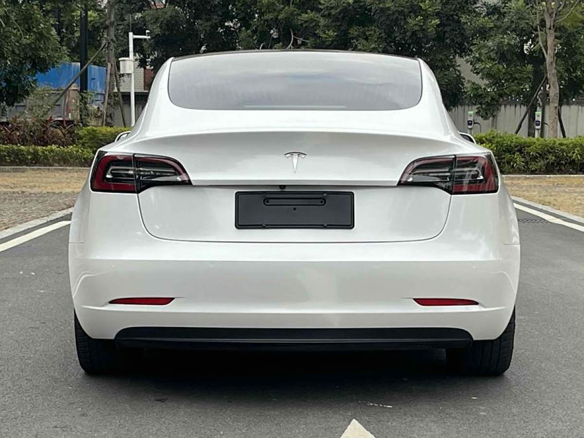 特斯拉 Model 3  2019款 標(biāo)準(zhǔn)續(xù)航后驅(qū)升級版圖片