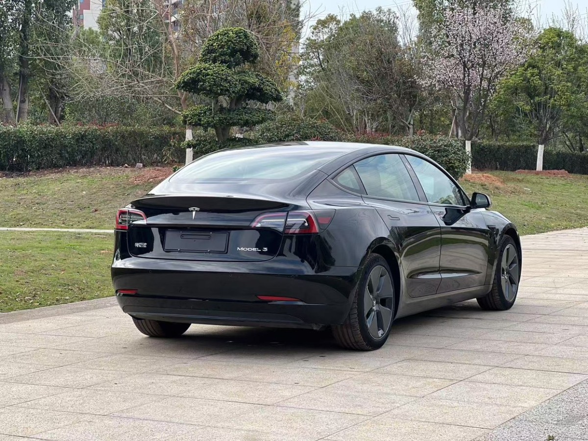 特斯拉 Model 3  2021款 改款 標準續(xù)航后驅(qū)升級版圖片