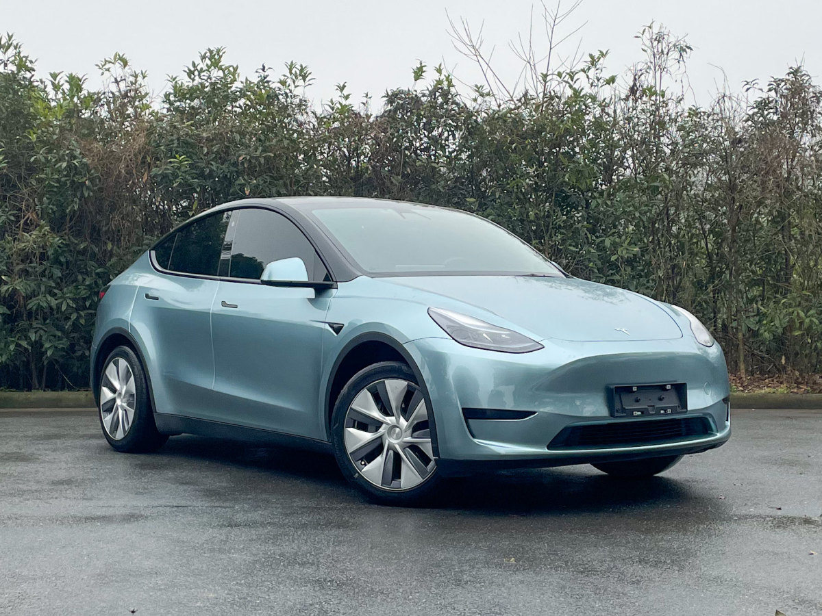 特斯拉 Model 3  2022款 后輪驅(qū)動版圖片