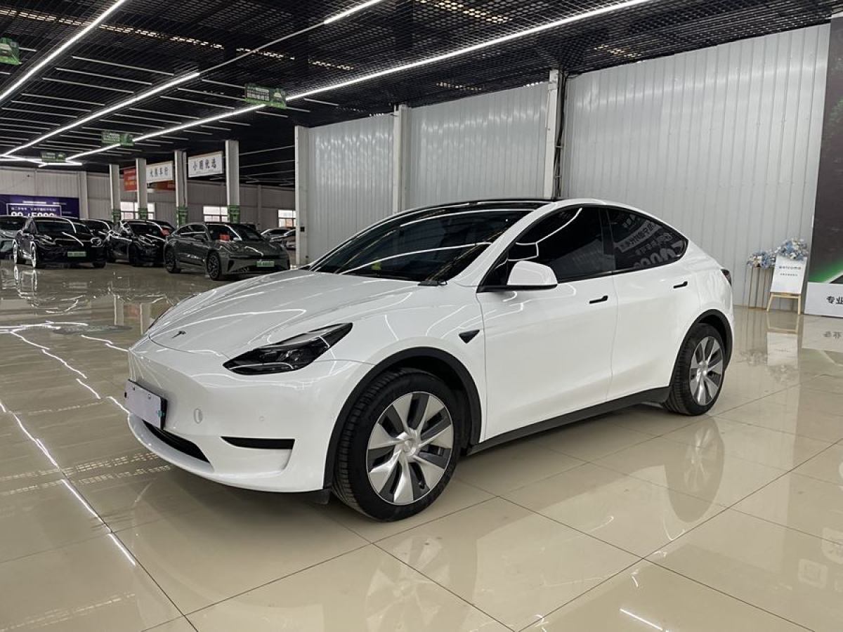 2023年1月特斯拉 Model 3  2020款 改款 長(zhǎng)續(xù)航后輪驅(qū)動(dòng)版