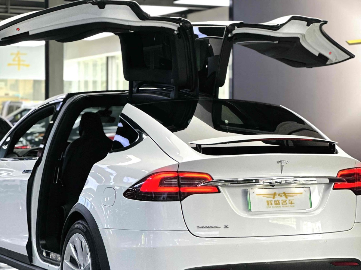 特斯拉 Model X  2016款 Model X 75D圖片