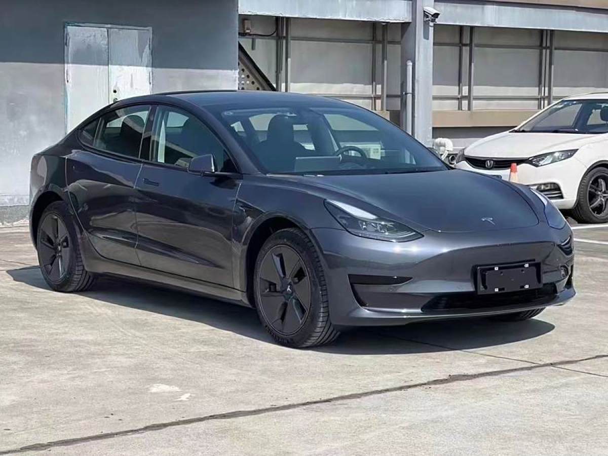 2021年11月特斯拉 Model 3  2022款 改款 后輪驅(qū)動(dòng)版