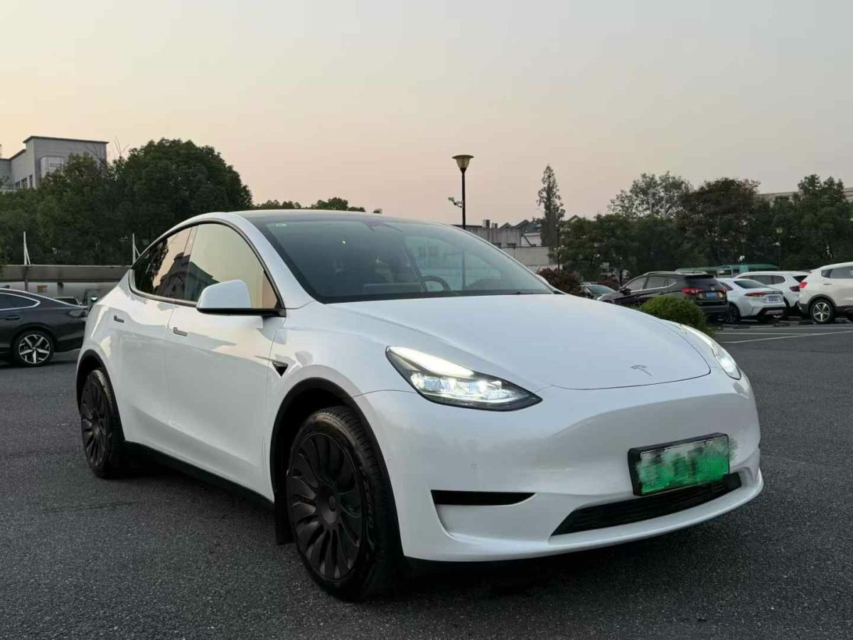 特斯拉 Model S  2023款 三電機全輪驅(qū)動 Plaid版圖片