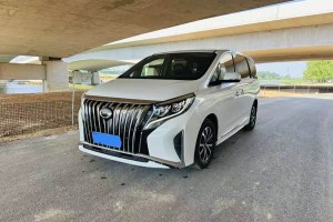 M8 廣汽傳祺 改款 領(lǐng)秀系列 390T 豪華版