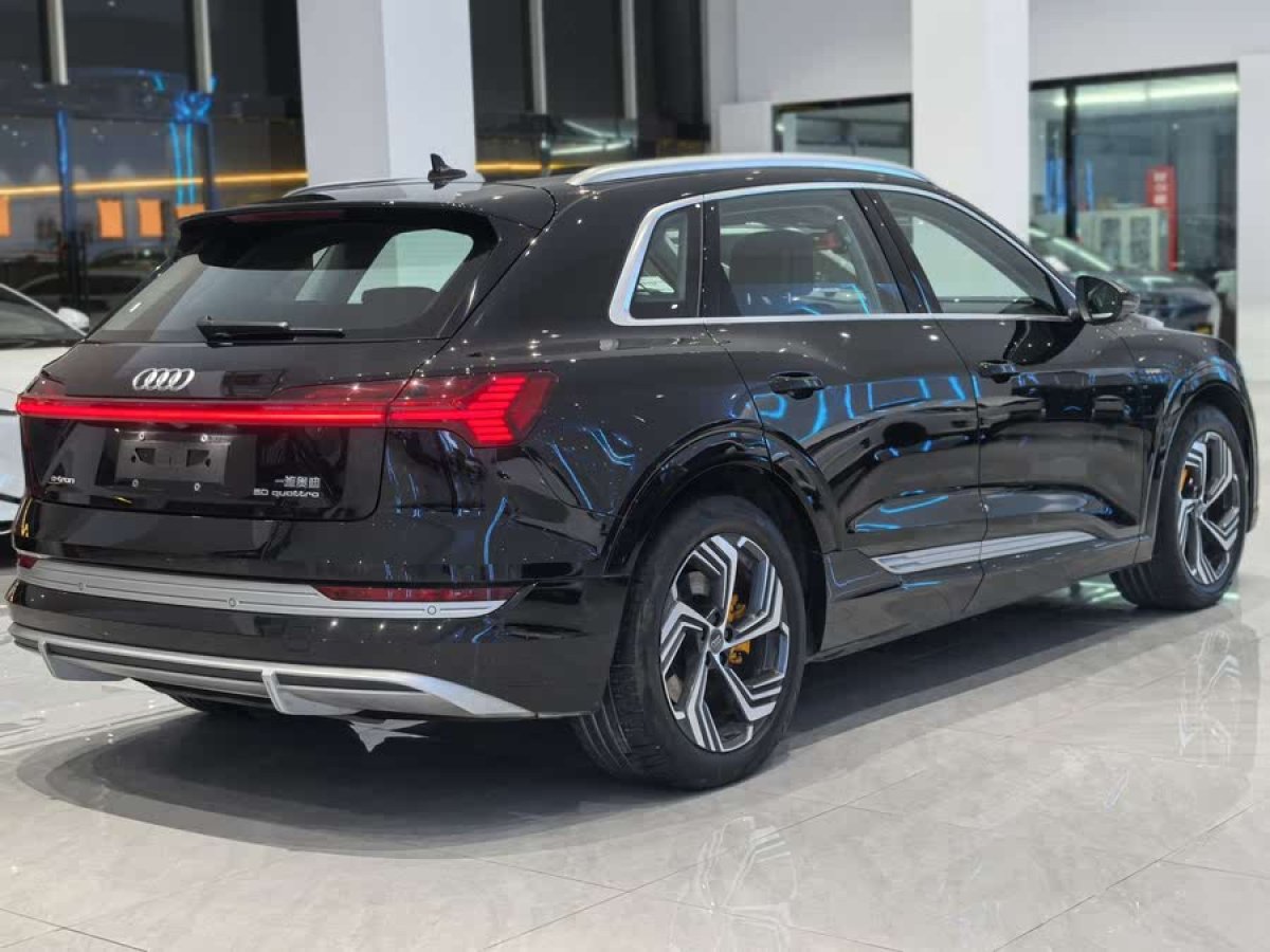 奧迪 奧迪e-tron  2021款 50 quattro 臻選型圖片