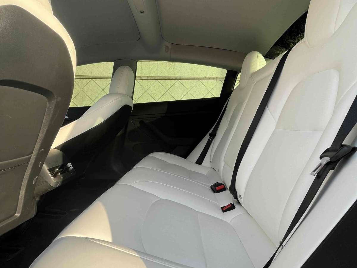 2021年7月特斯拉 Model 3  2019款 Performance高性能全轮驱动版