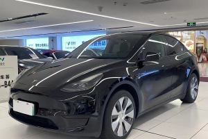 Model Y 特斯拉 改款 长续航后轮驱动版