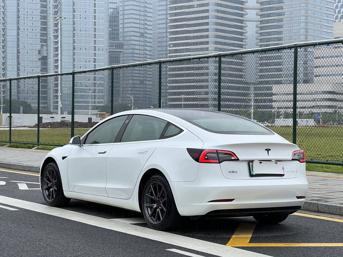 特斯拉 Model 3  2019款 標(biāo)準(zhǔn)續(xù)航后驅(qū)升級(jí)版圖片