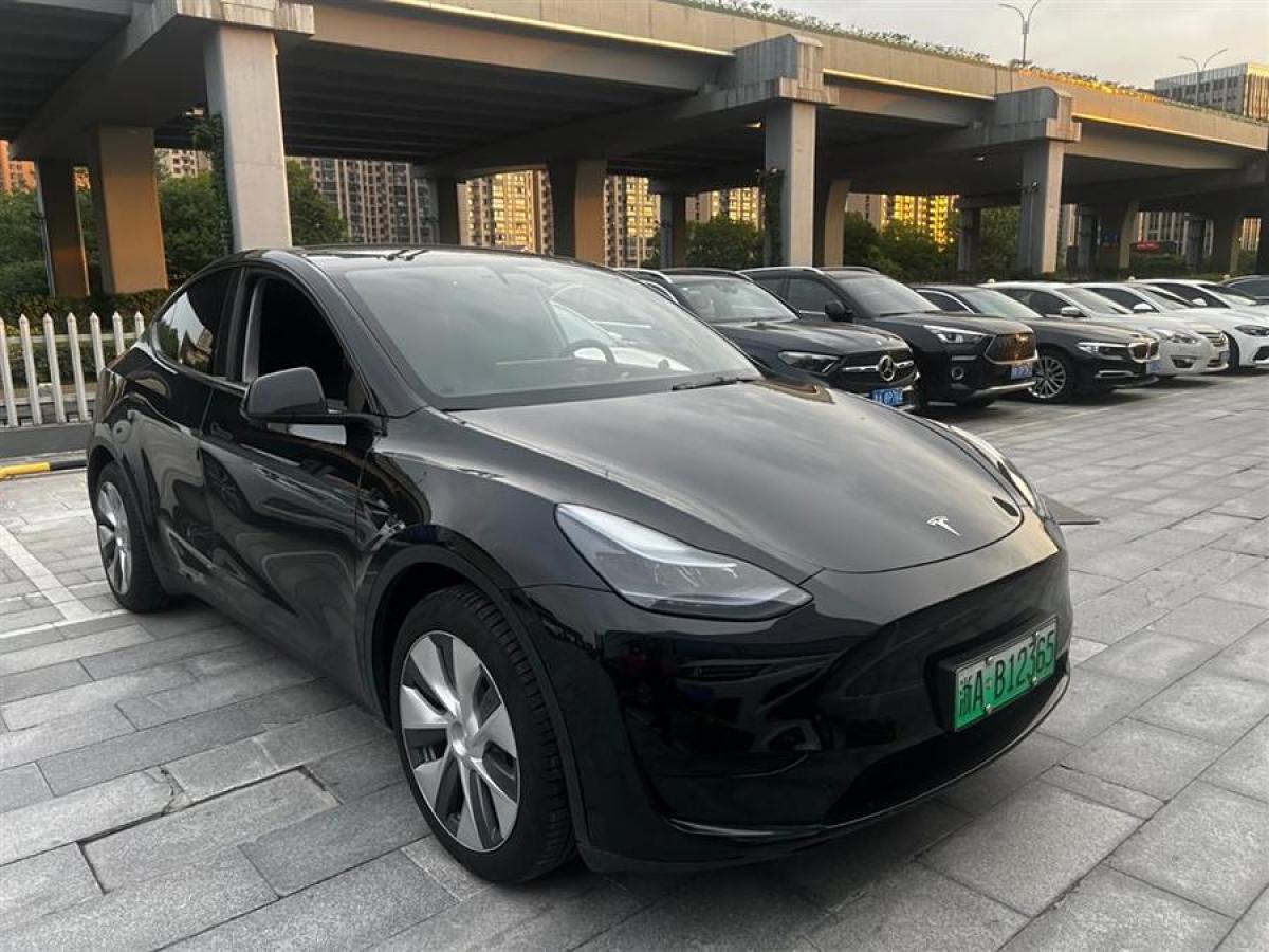 特斯拉 Model Y  2020款 改款 長續(xù)航后輪驅(qū)動版圖片