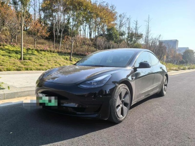 2021年12月 特斯拉 Model 3 標(biāo)準(zhǔn)續(xù)航后驅(qū)升級(jí)版圖片