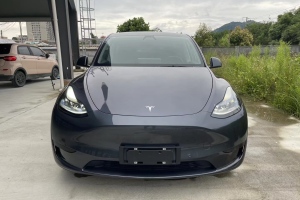 Model Y 特斯拉 改款 后轮驱动版