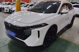 啟辰大V 啟辰 260T 天王版