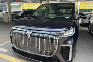 夢(mèng)想家 嵐圖 EV 超長(zhǎng)續(xù)航旗艦版