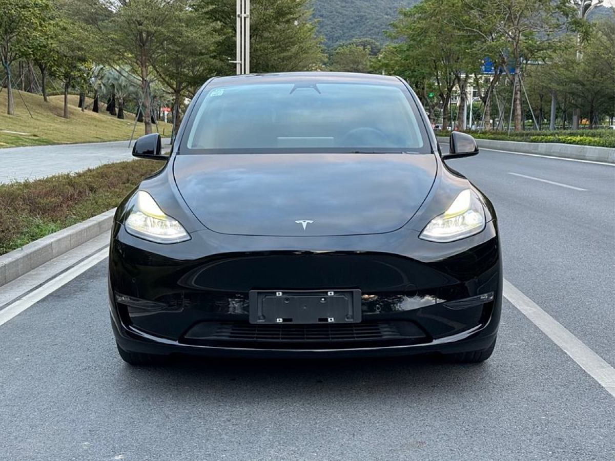 特斯拉 Model 3  2021款 改款 標(biāo)準(zhǔn)續(xù)航后驅(qū)升級(jí)版圖片