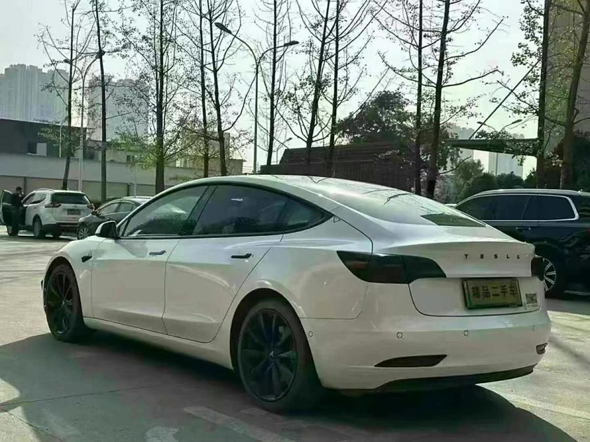 特斯拉 Model 3  2021款 改款 標準續(xù)航后驅(qū)升級版圖片