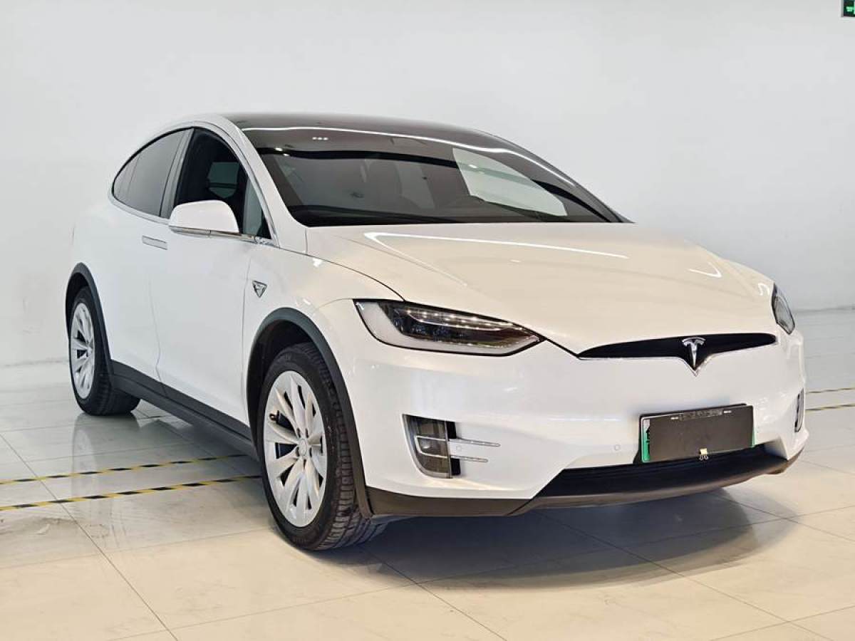 特斯拉 Model X  2016款 Model X 75D圖片