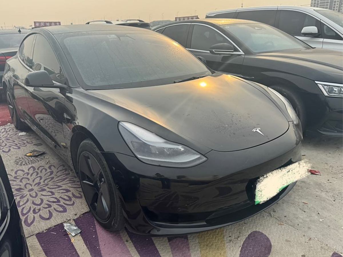 特斯拉 Model 3  2021款 改款 標(biāo)準(zhǔn)續(xù)航后驅(qū)升級(jí)版圖片