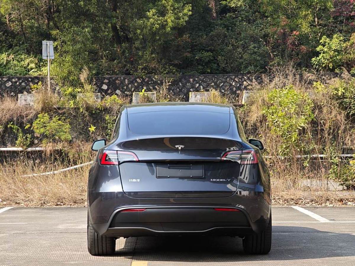 特斯拉 Model Y  2024款 長(zhǎng)續(xù)航全輪驅(qū)動(dòng)版圖片