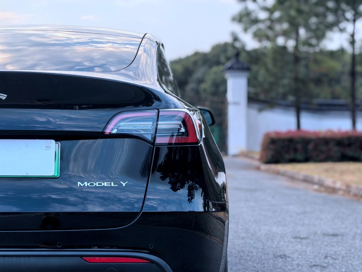  特斯拉 Model Y 2022款 后輪驅(qū)動版圖片