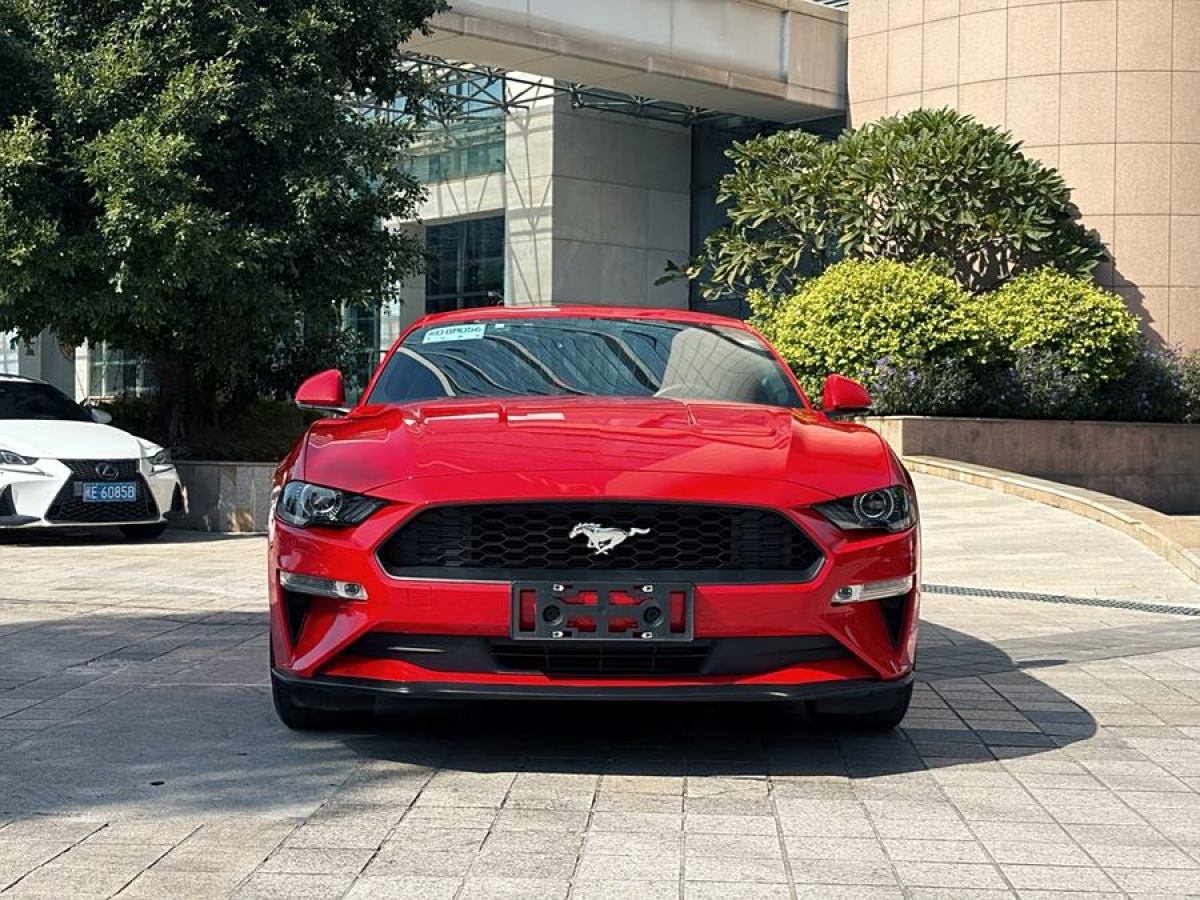 福特 Mustang  2020款 2.3L EcoBoost圖片