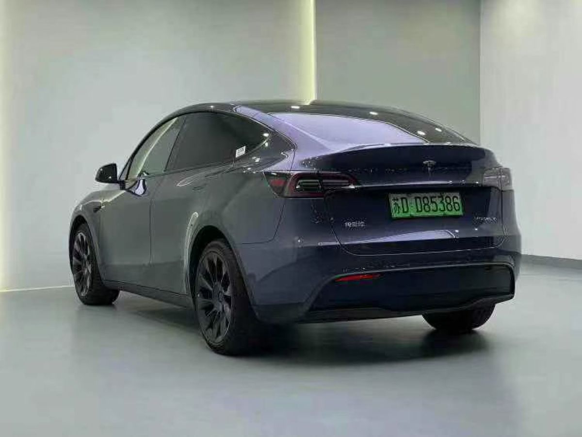 特斯拉 Model S  2021款 Performance 高性能版圖片