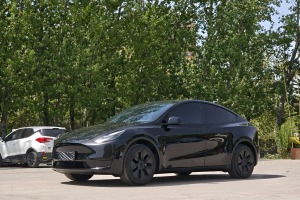 Model Y 特斯拉 后輪驅(qū)動版