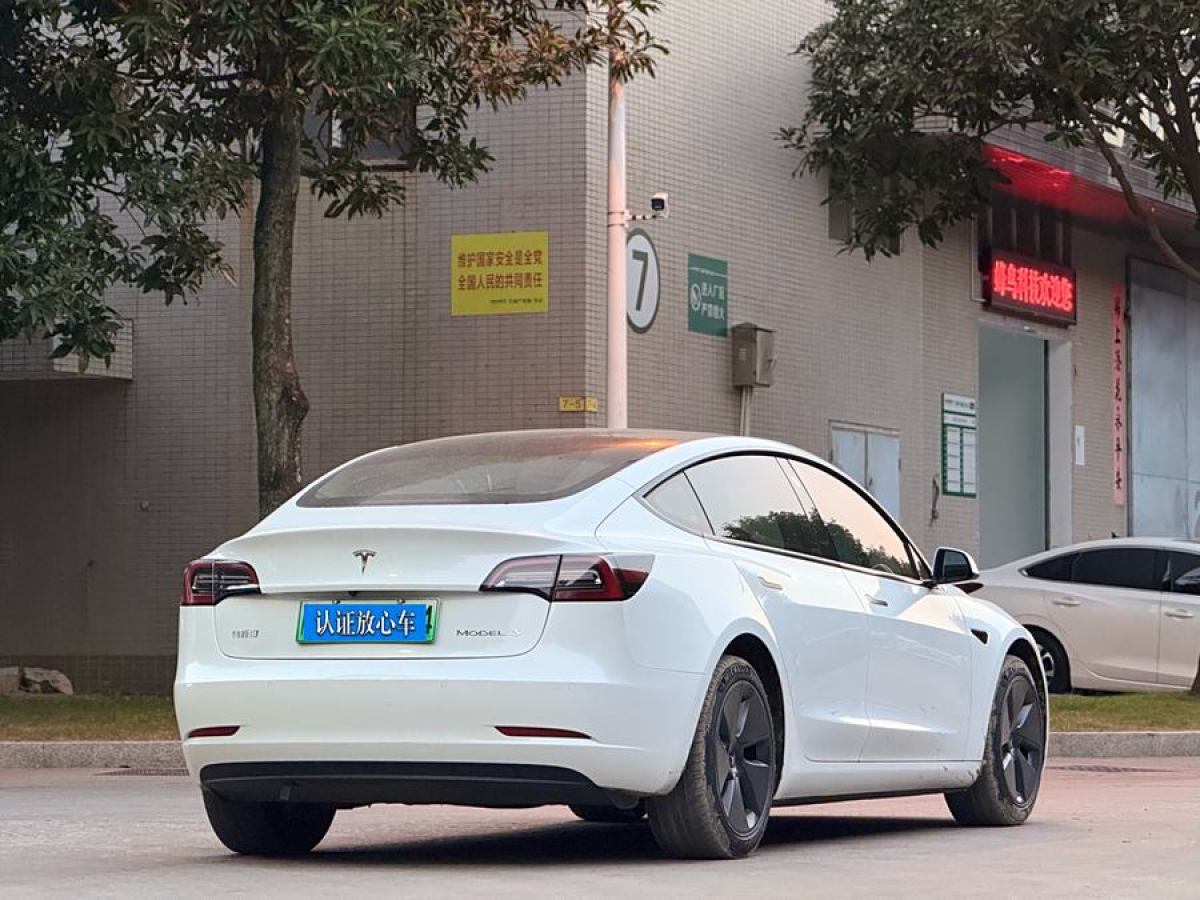 特斯拉 Model 3  2021款 標(biāo)準(zhǔn)續(xù)航后驅(qū)升級(jí)版 3D6圖片