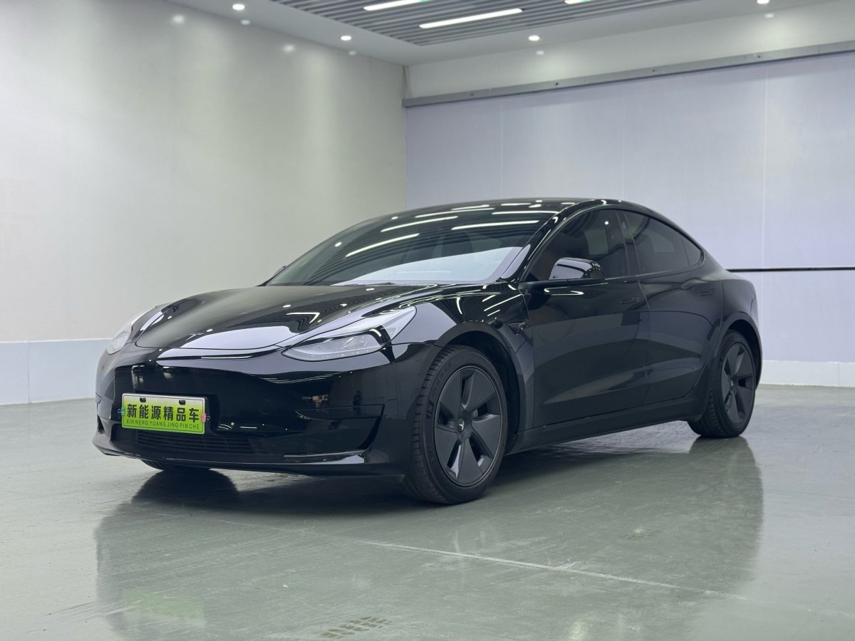 特斯拉 Model 3  2019款 標(biāo)準(zhǔn)續(xù)航后驅(qū)升級(jí)版圖片