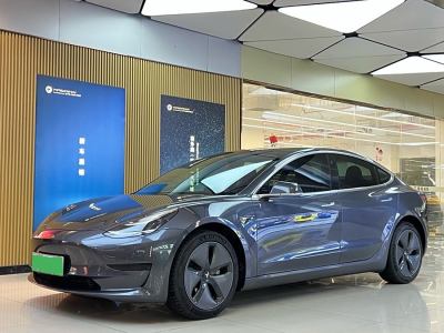 2020年8月 特斯拉 Model 3 改款 標(biāo)準(zhǔn)續(xù)航后驅(qū)升級(jí)版圖片