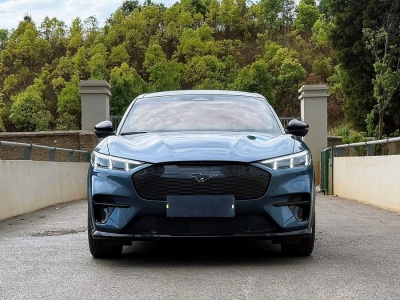 2022年5月 福特 Mustang Mach-E(進(jìn)口) GT圖片