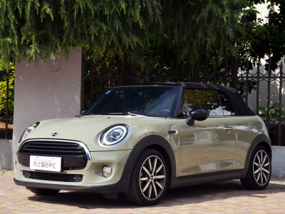 2019年5月 MINI MINI 1.5T COOPER CABRIO 藝術(shù)家圖片