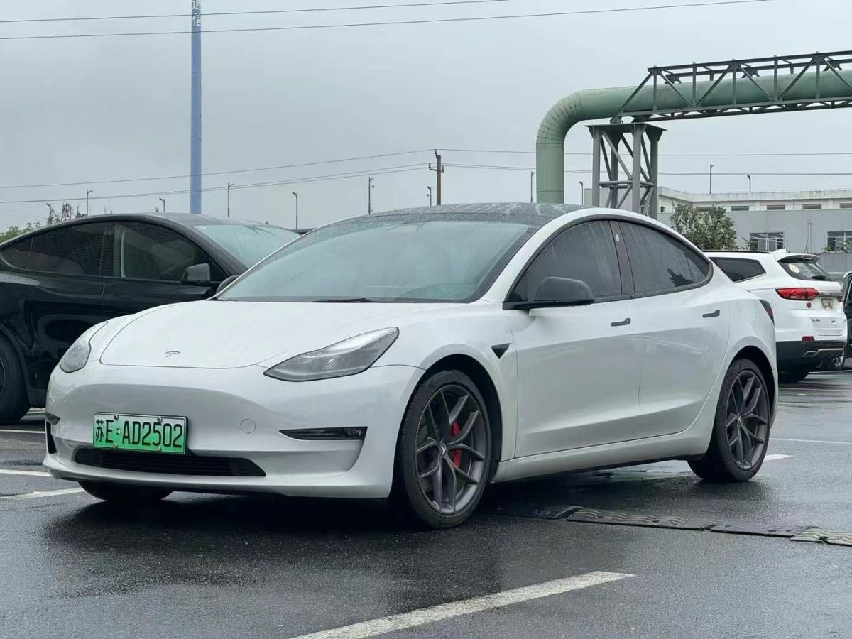 特斯拉 Model S  2021款 Performance 高性能版圖片