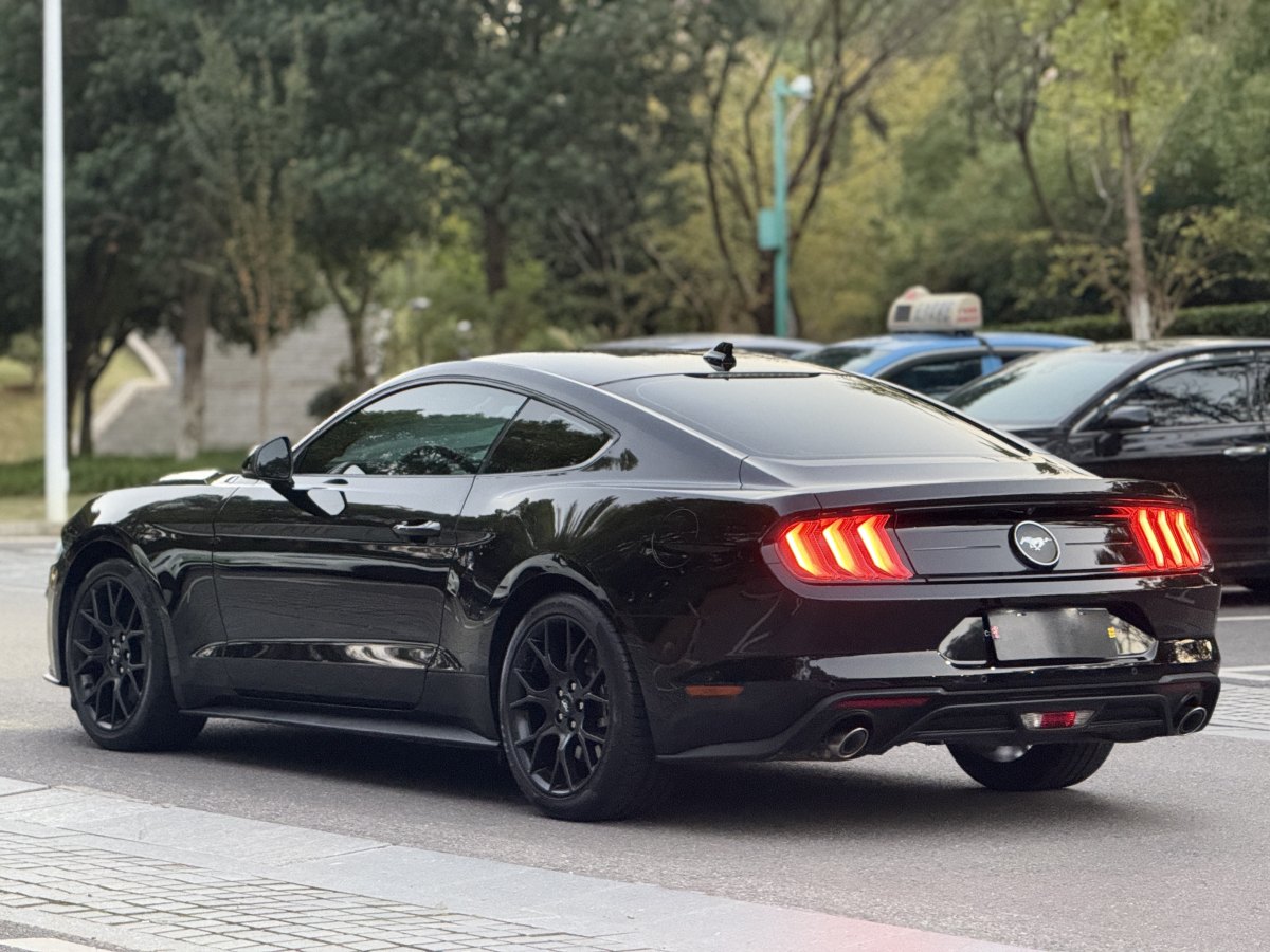 福特 Mustang  2021款 2.3L EcoBoost圖片