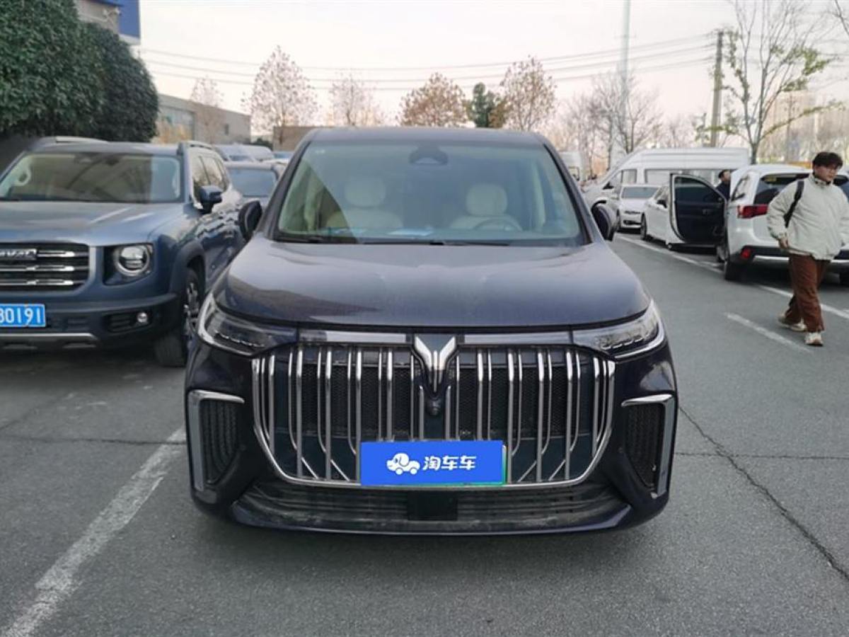 嵐圖 夢想家  2024款 PHEV 超長續(xù)航尊貴版圖片