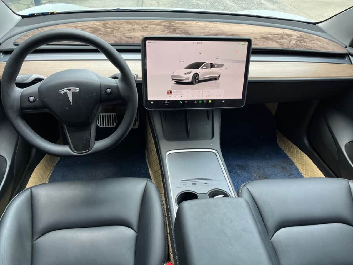 特斯拉 Model 3  2022款 后輪驅(qū)動(dòng)版圖片
