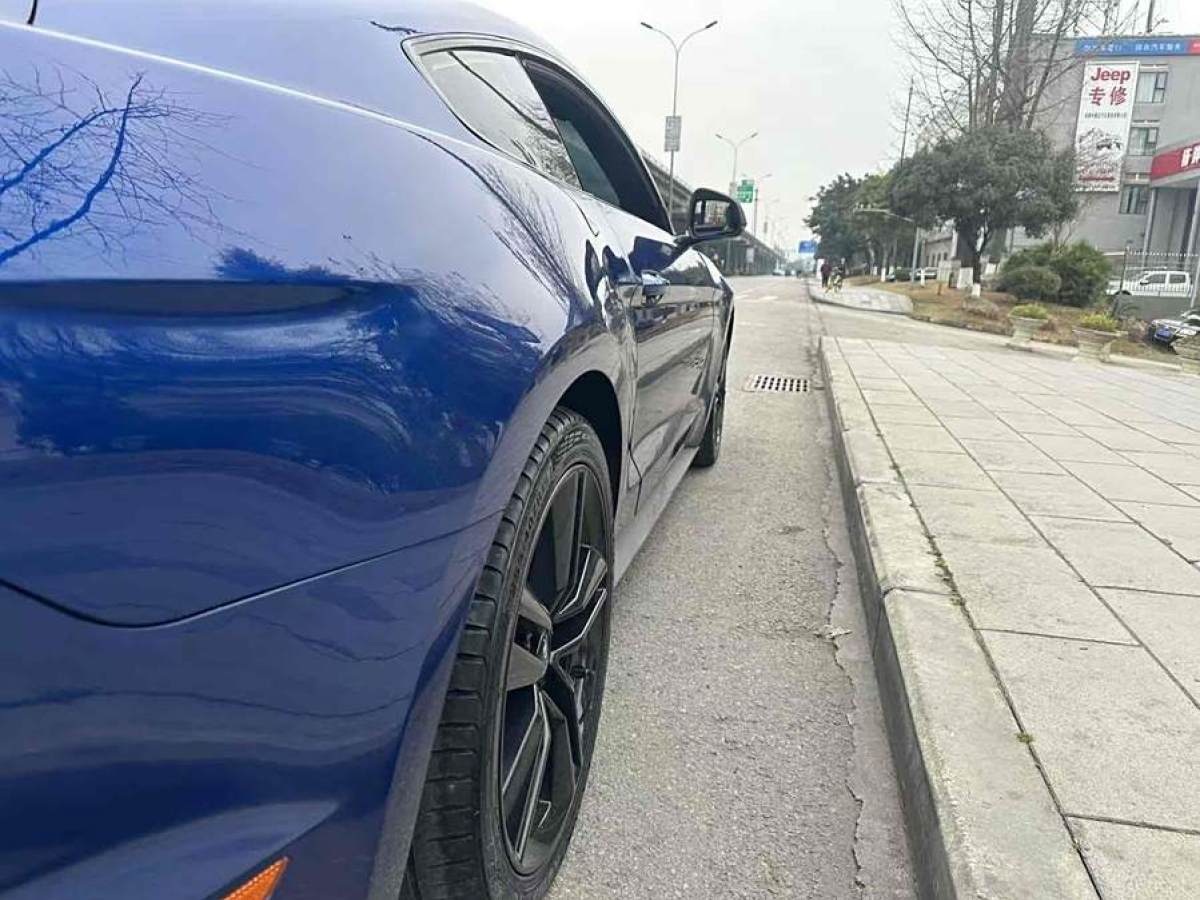 福特 Mustang  2015款 2.3T 性能版圖片