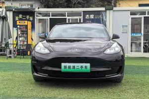 Model 3 特斯拉 Performance高性能全轮驱动版