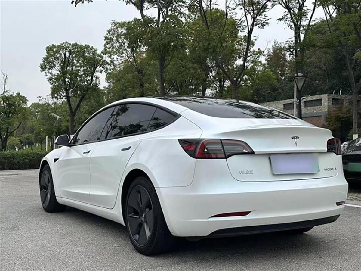 特斯拉 Model 3  2021款 標(biāo)準(zhǔn)續(xù)航后驅(qū)升級版 3D6圖片