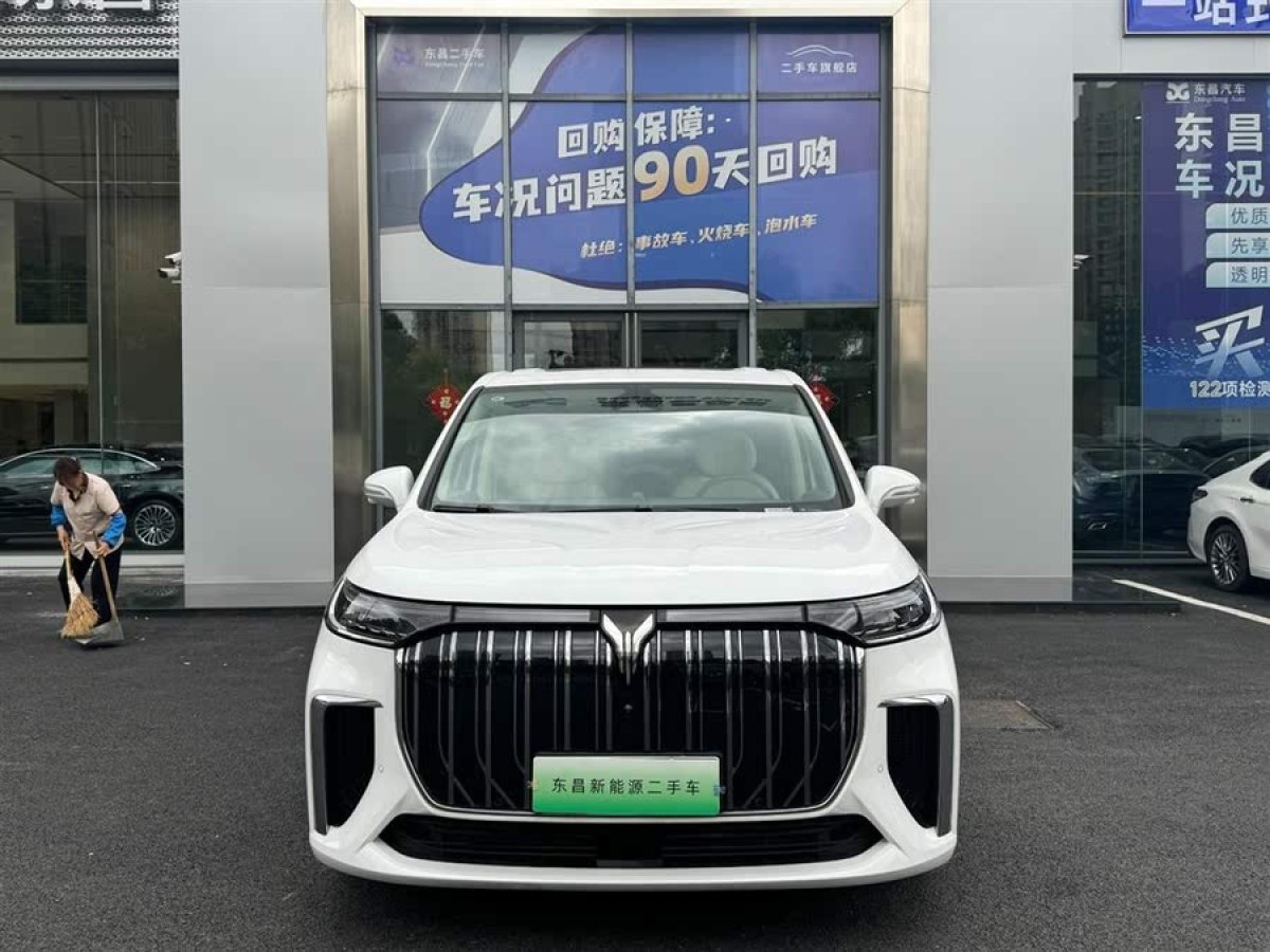 嵐圖 夢(mèng)想家  2024款 EV 長(zhǎng)續(xù)航尊貴版圖片