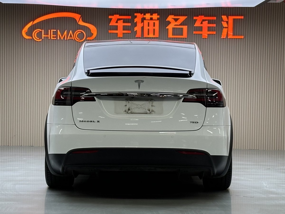 特斯拉 Model X  2016款 Model X 75D圖片