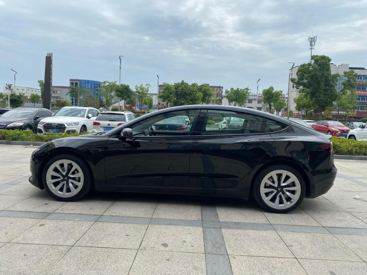 特斯拉 Model 3  2021款 標(biāo)準(zhǔn)續(xù)航后驅(qū)版圖片