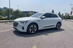 奧迪e-tron 奧迪 55 quattro 專享型