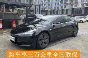 Model 3 特斯拉 改款 標準續(xù)航后驅(qū)升級版