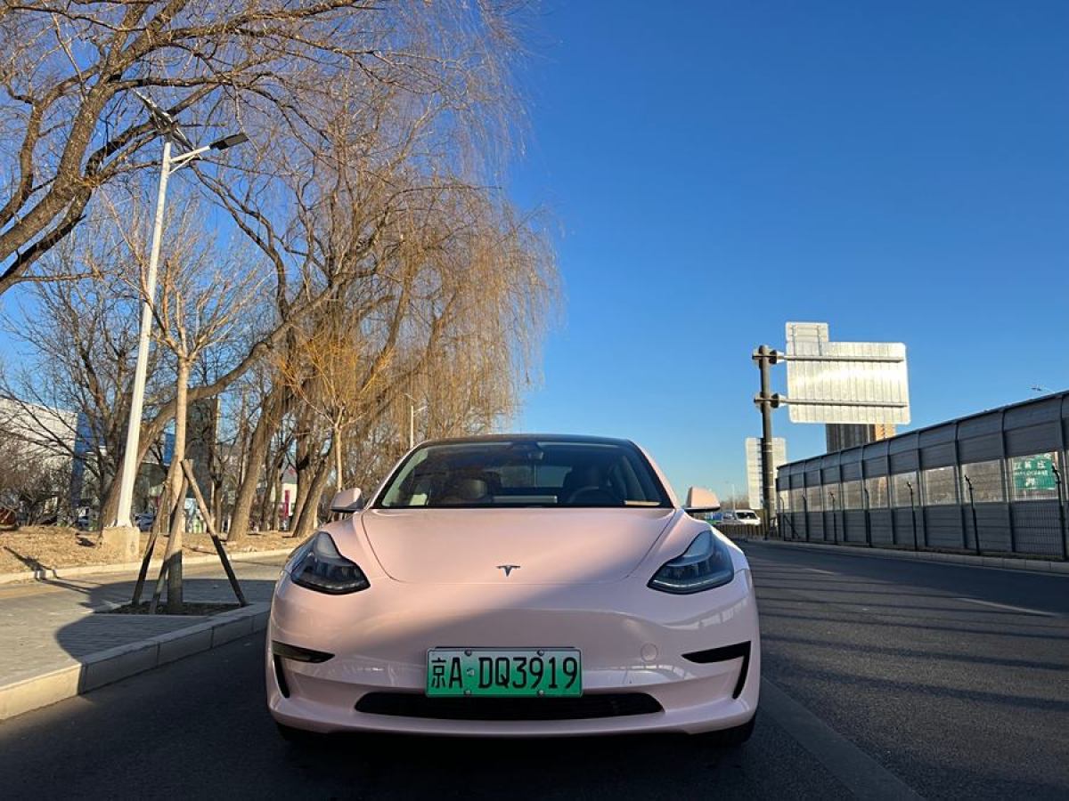 特斯拉 Model 3  2019款 標準續(xù)航后驅(qū)升級版圖片