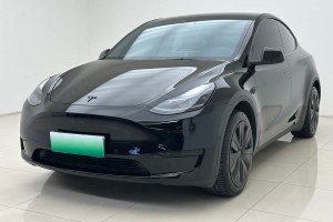 Model Y 特斯拉 改款 后輪驅(qū)動(dòng)版