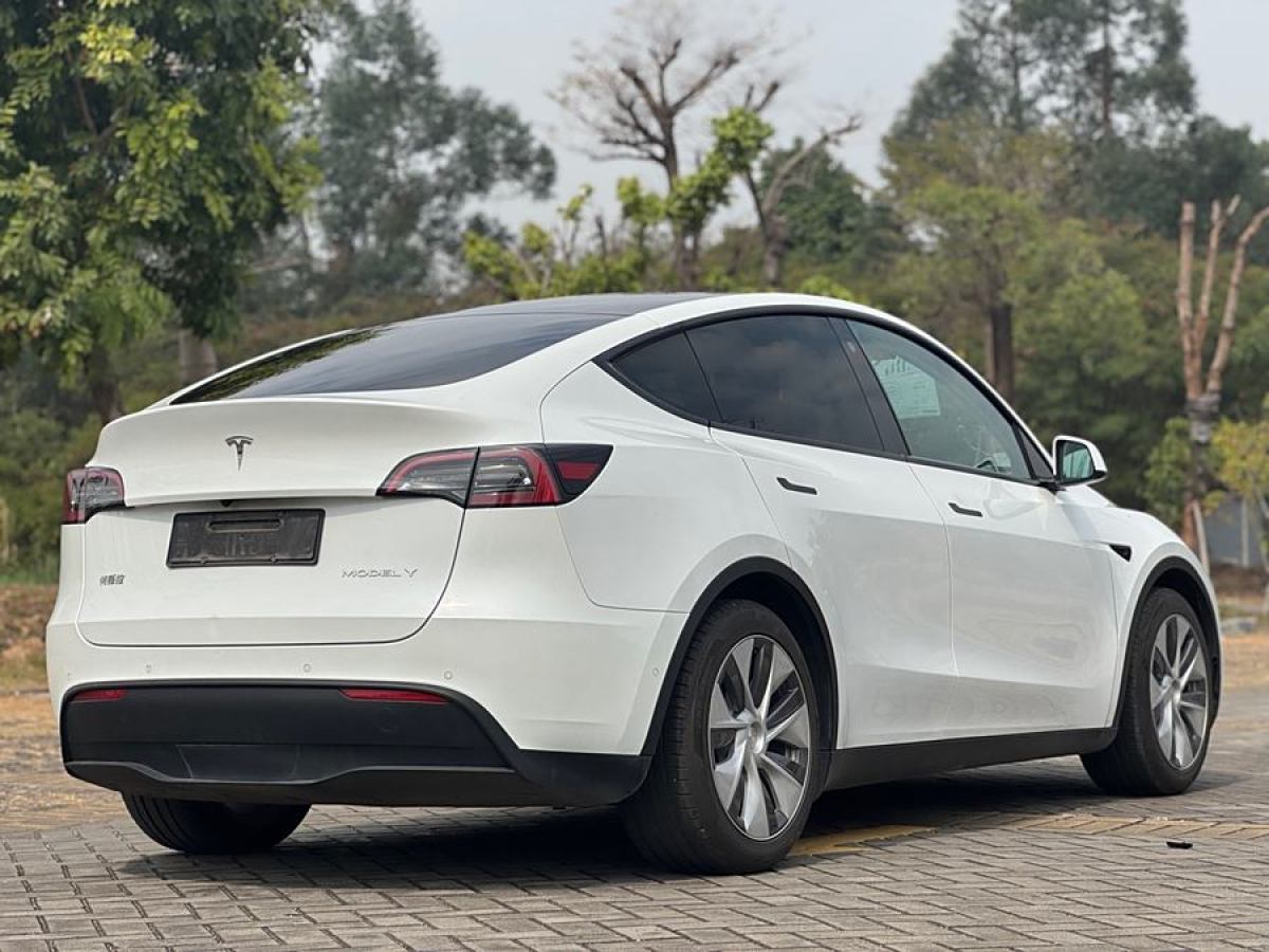 特斯拉 Model 3  2021款 改款 標(biāo)準(zhǔn)續(xù)航后驅(qū)升級(jí)版圖片