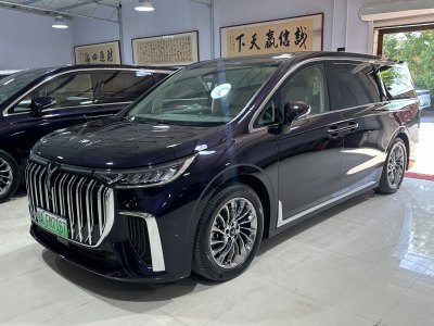 2024年4月 嵐圖 夢想家 PHEV 超長續(xù)航旗艦版圖片