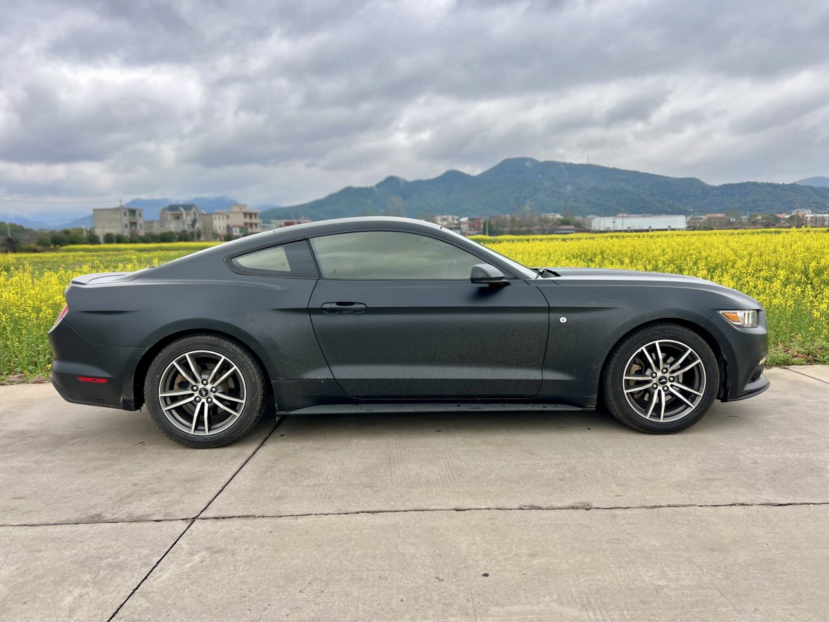 福特 Mustang  2017款 2.3T 性能版圖片