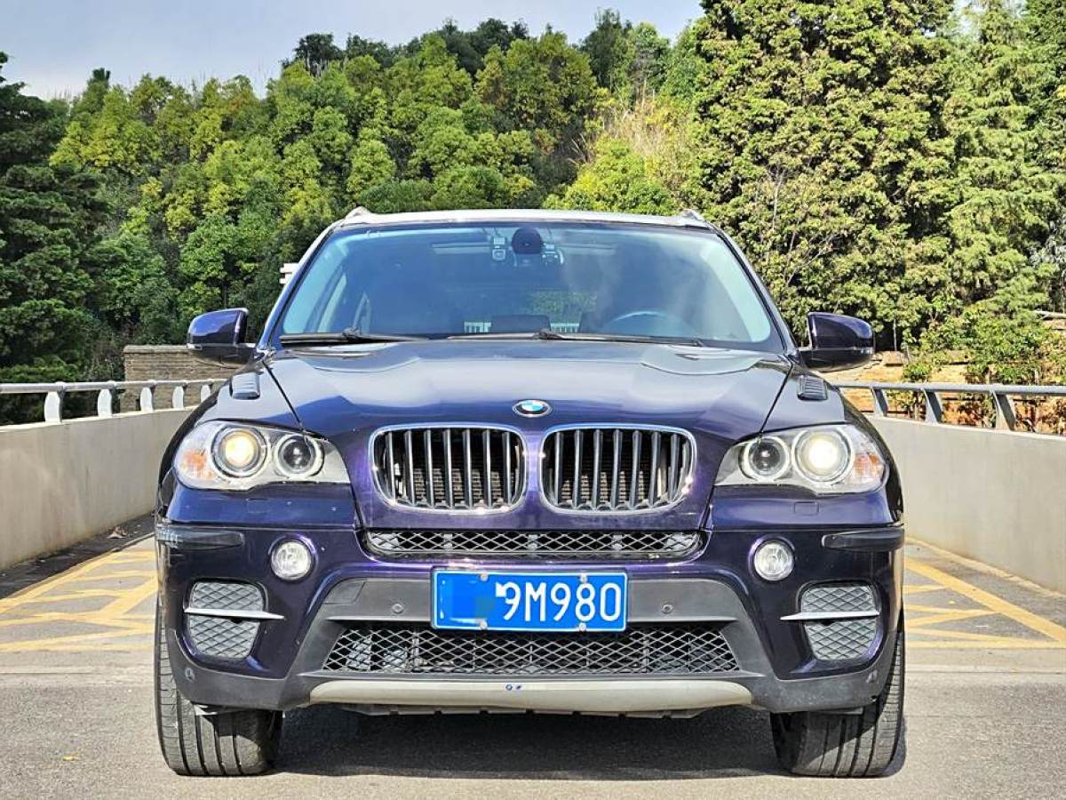 寶馬 寶馬X5  2011款 xDrive35i 領(lǐng)先型圖片